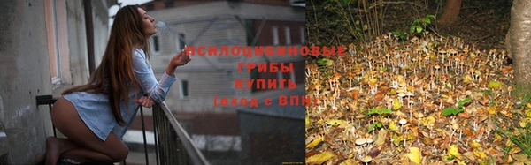 синтетический гашиш Баксан