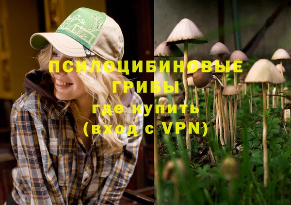 spice Белокуриха