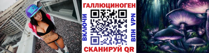 где купить наркотик  Сольцы  Галлюциногенные грибы Cubensis 